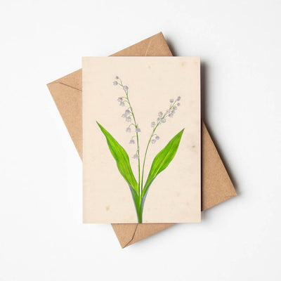 Lily of the Valley Greetings Card