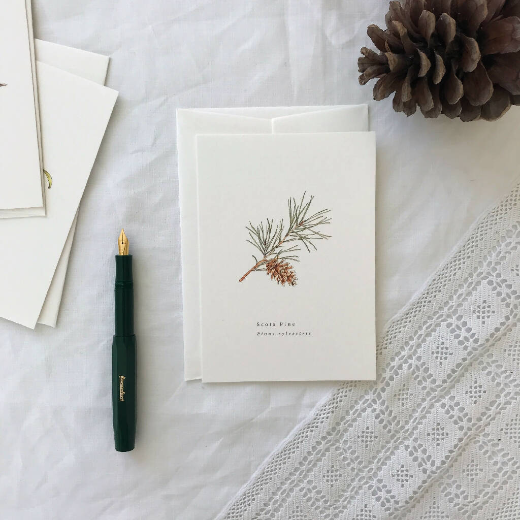 Pine Branch and Pinecone Watercolour Illustrated Christmas Card