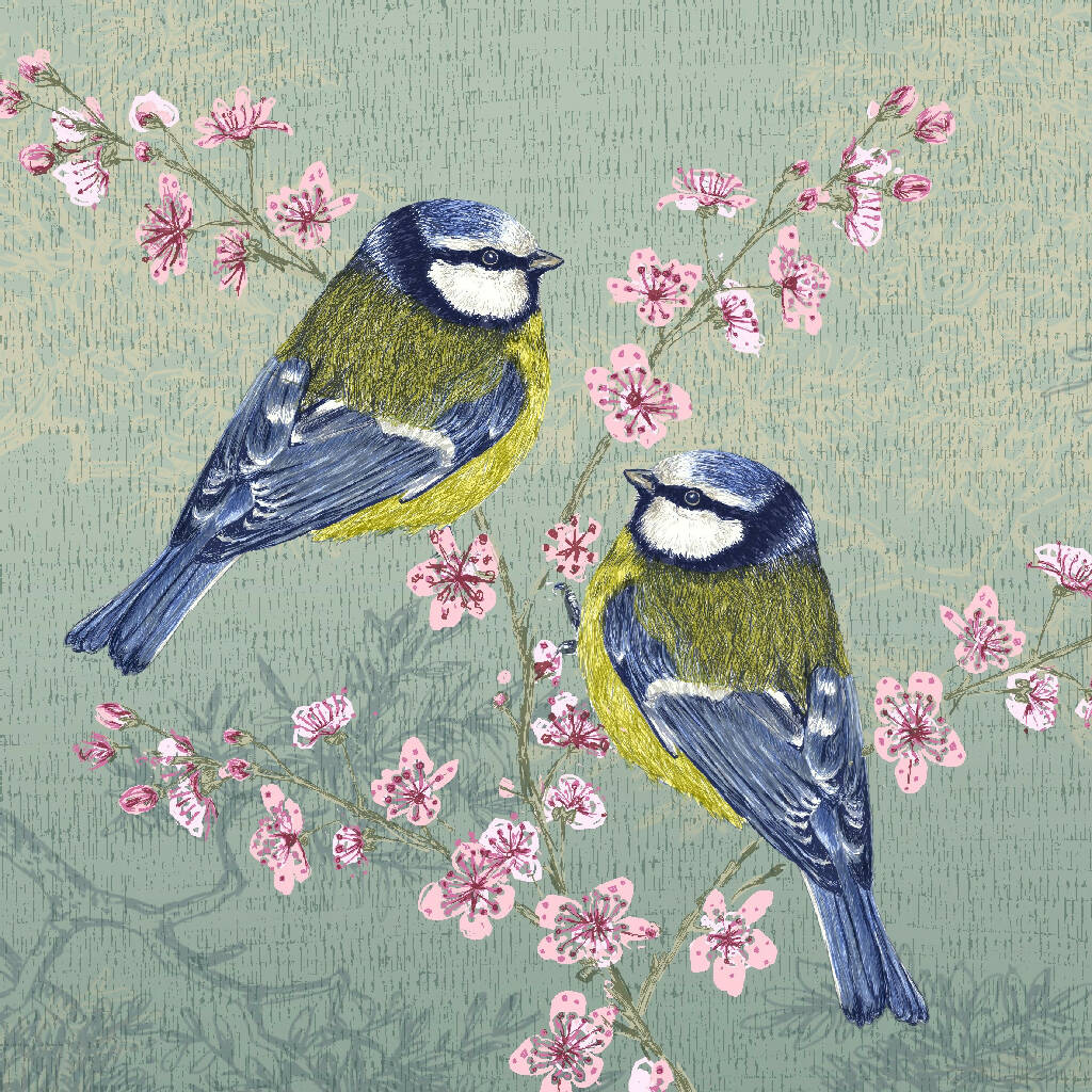 HBD02415 Blue tit