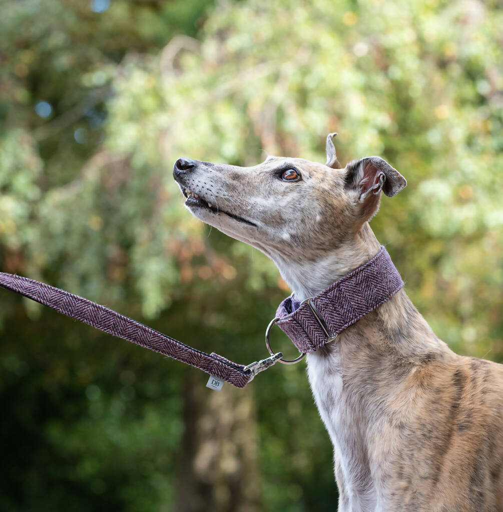 Standard Herringbone Tweed Dress Lead in Blackberry