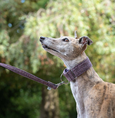 Standard Herringbone Tweed Dress Lead in Blackberry