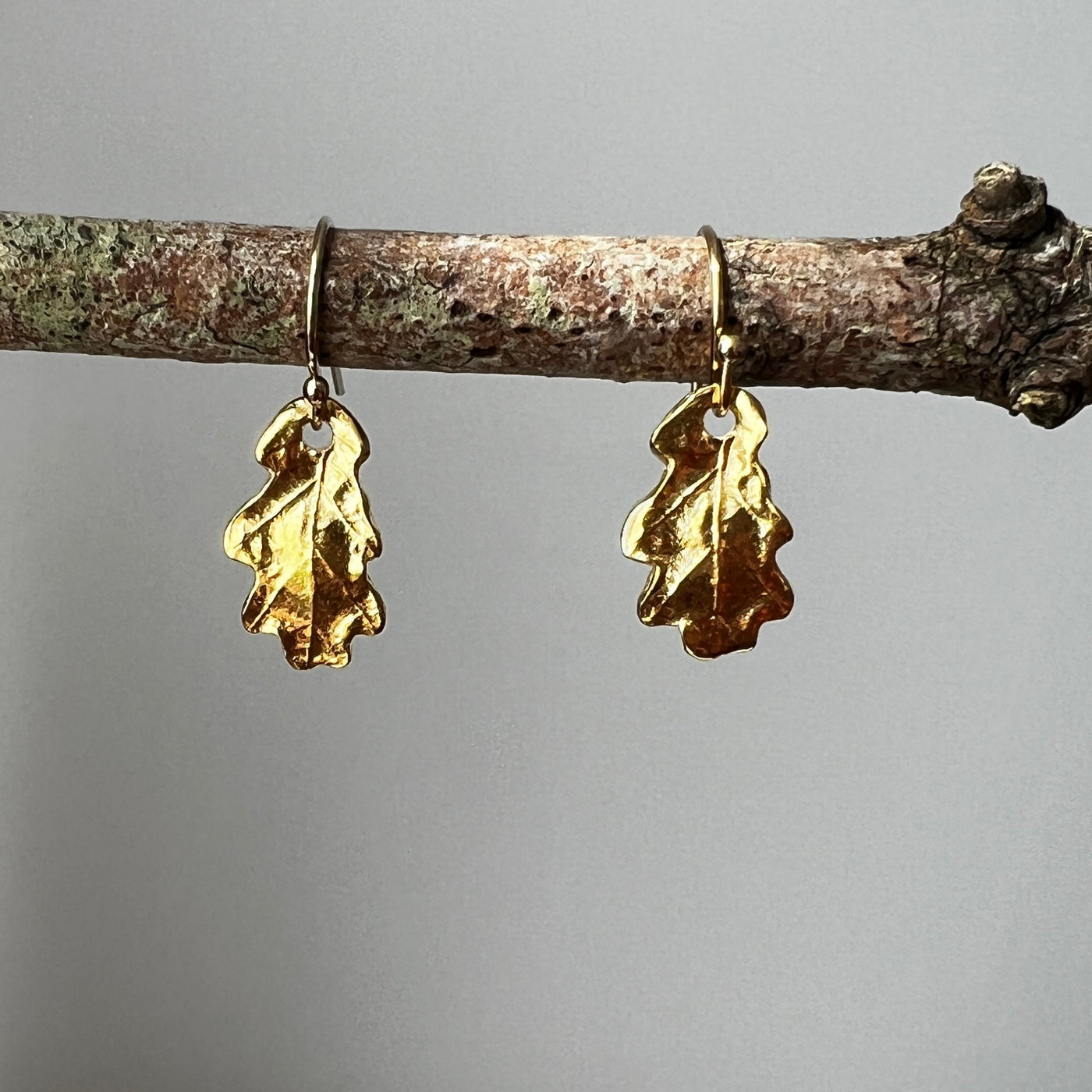 Gold Baby Oak Leaf Earrings