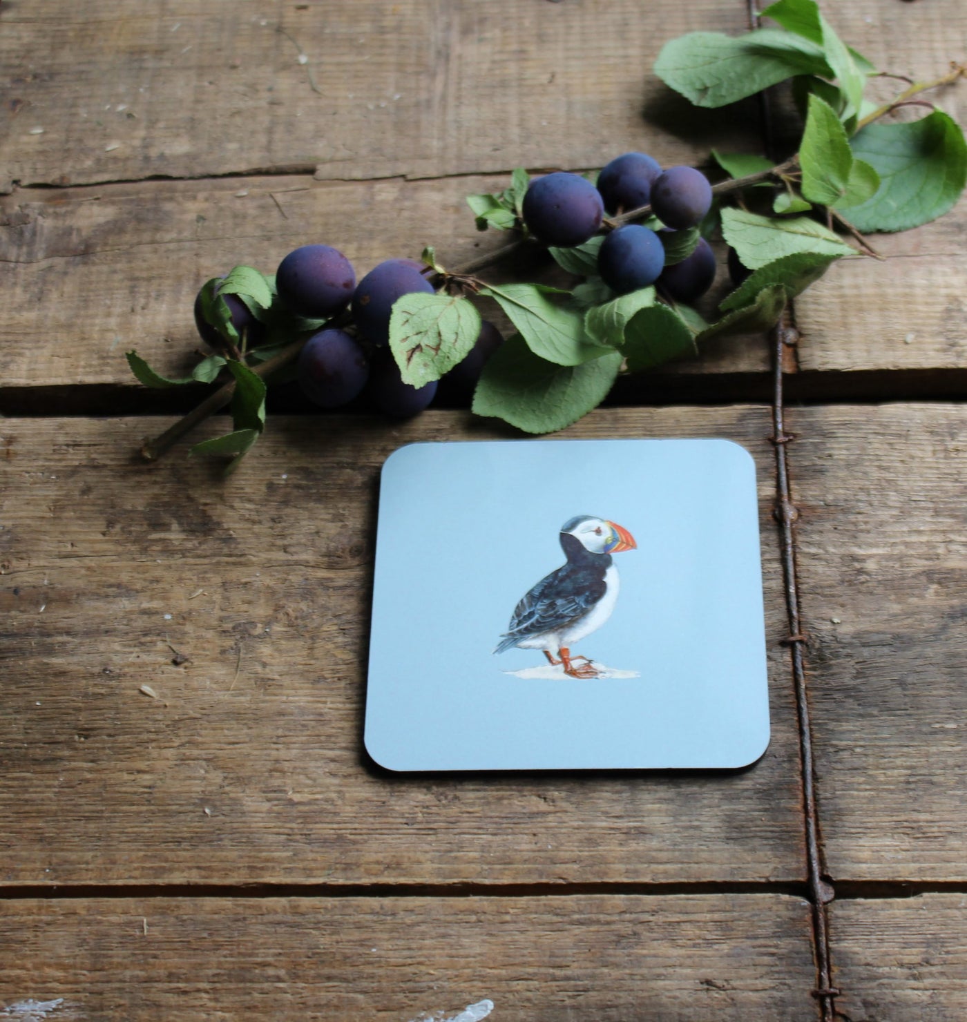 Melamine Coasters in Puffin