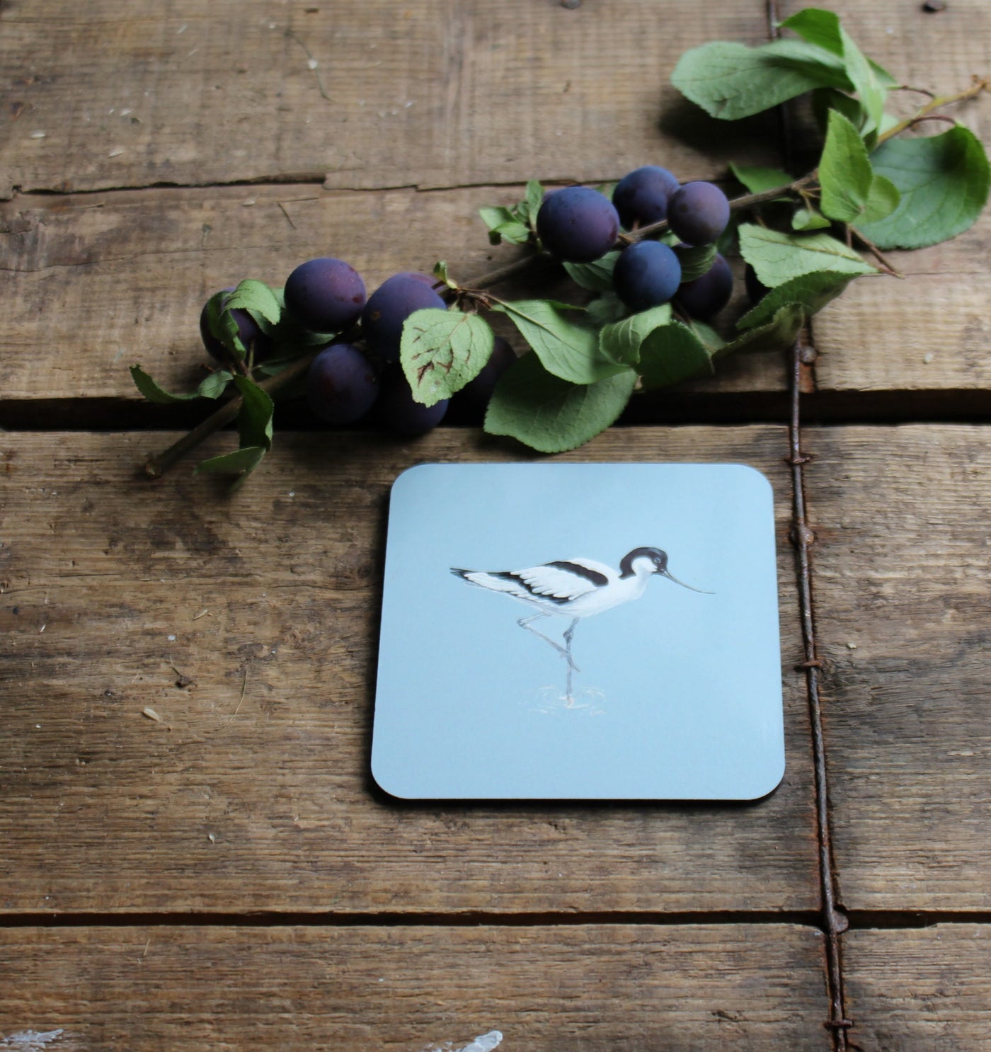 Melamine Coasters in Avocet