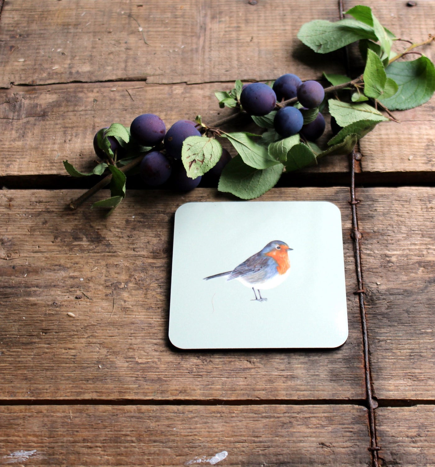 Melamine Coasters in Robin