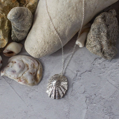 Silver Statement Limpet Shell Necklace