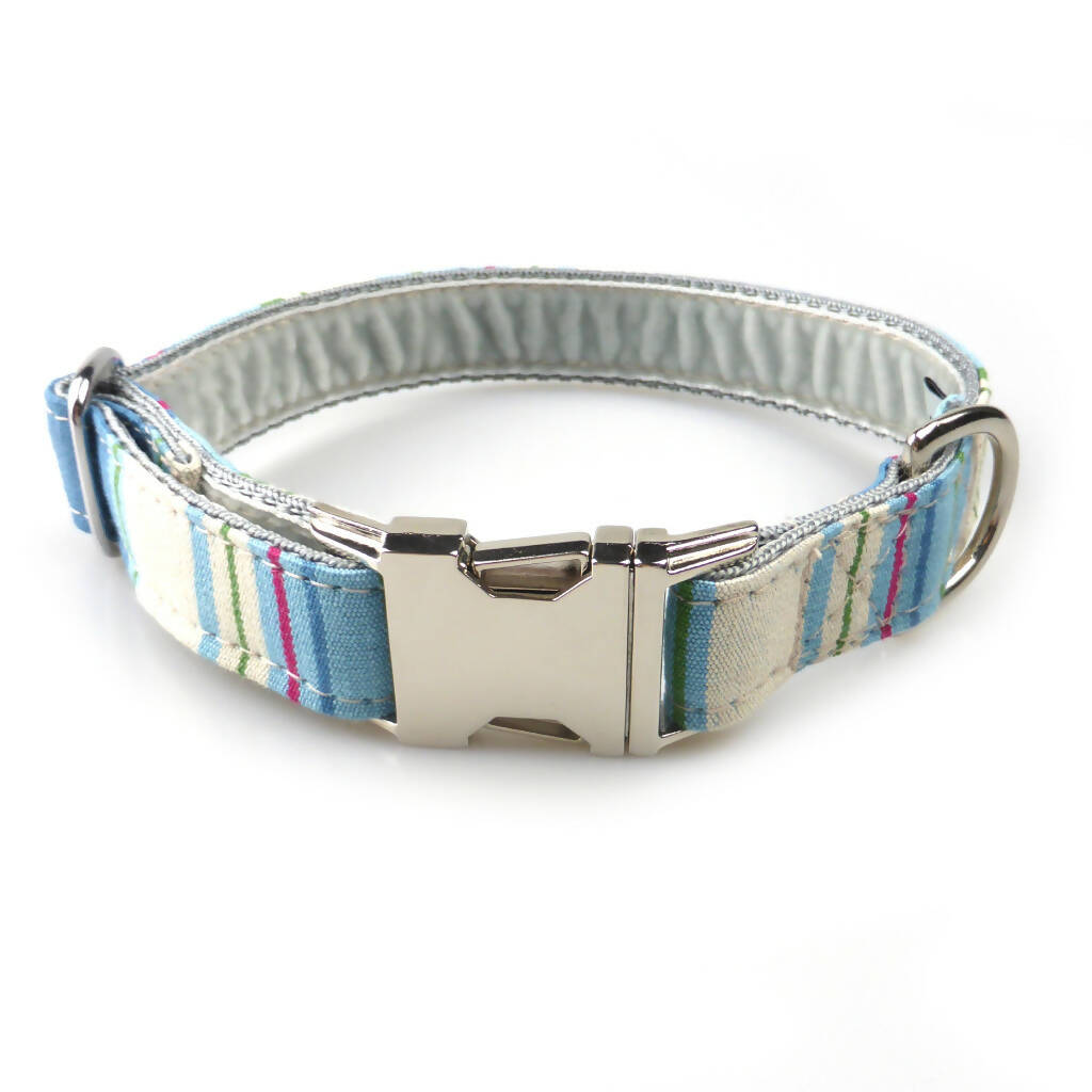 Whitby Buckle Collar