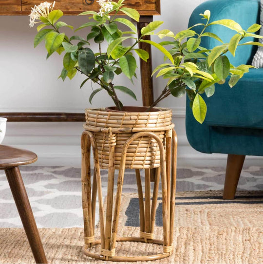 Rattan Plant Basket