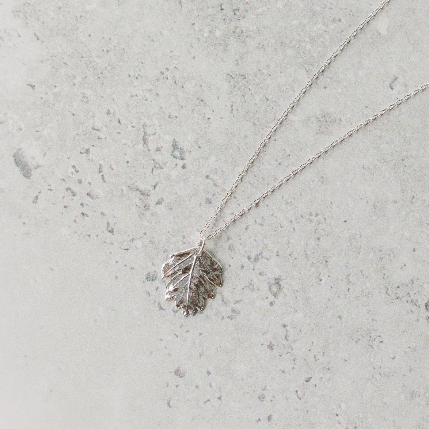 Silver Hawthorn Leaf Necklace