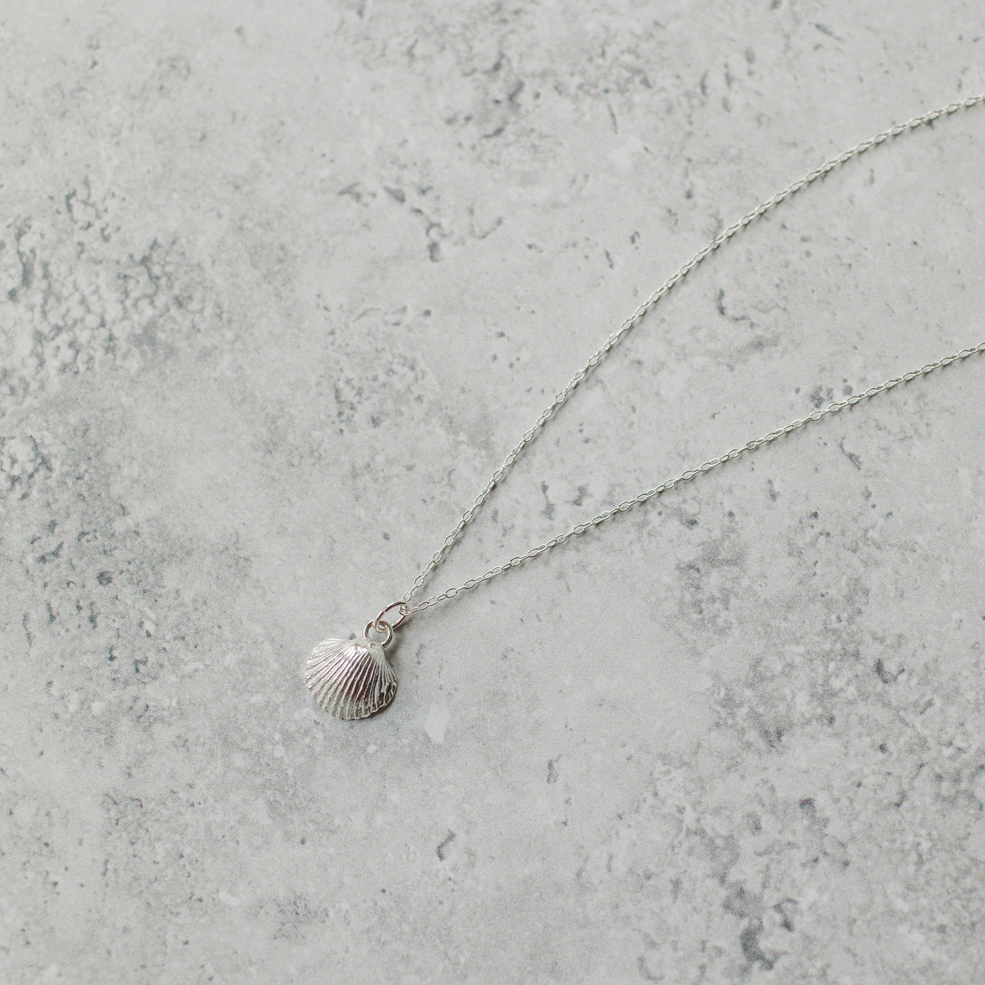 Silver Baby Cockle Shell Necklace