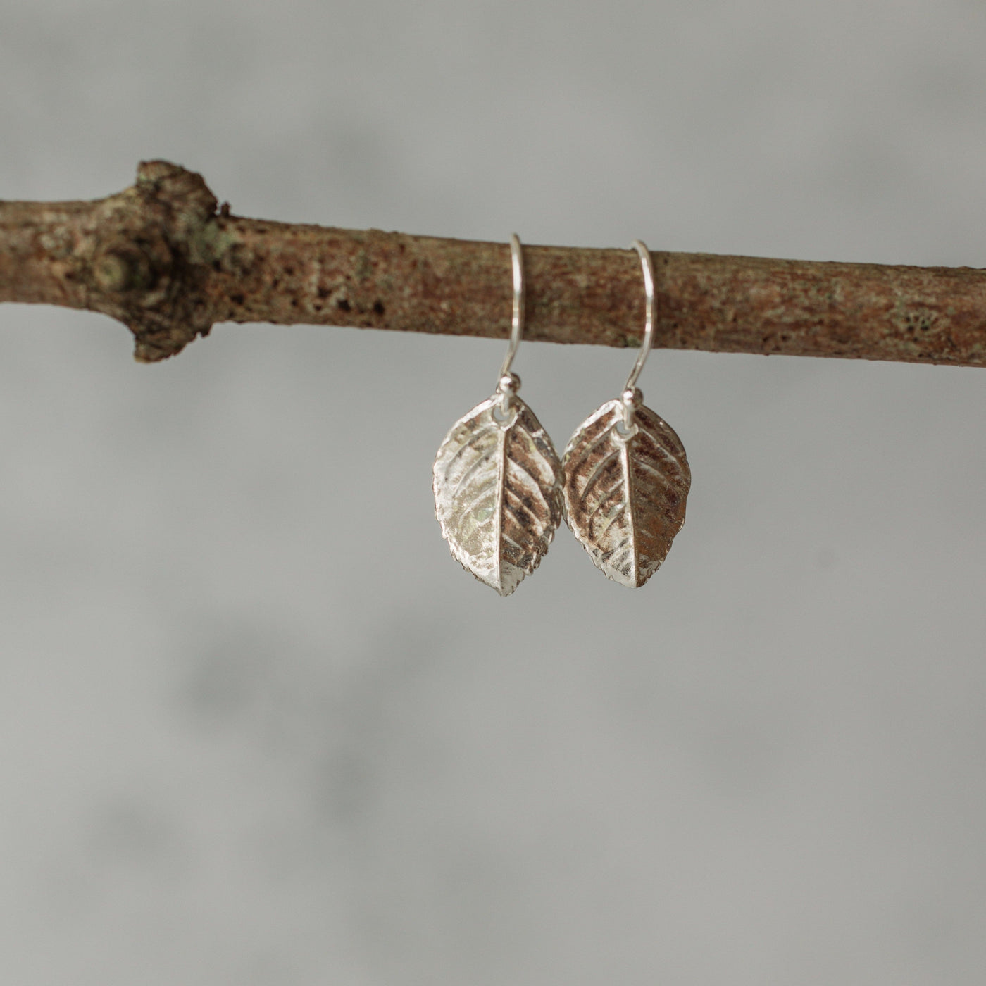 Silver Rose Leaf Earrings