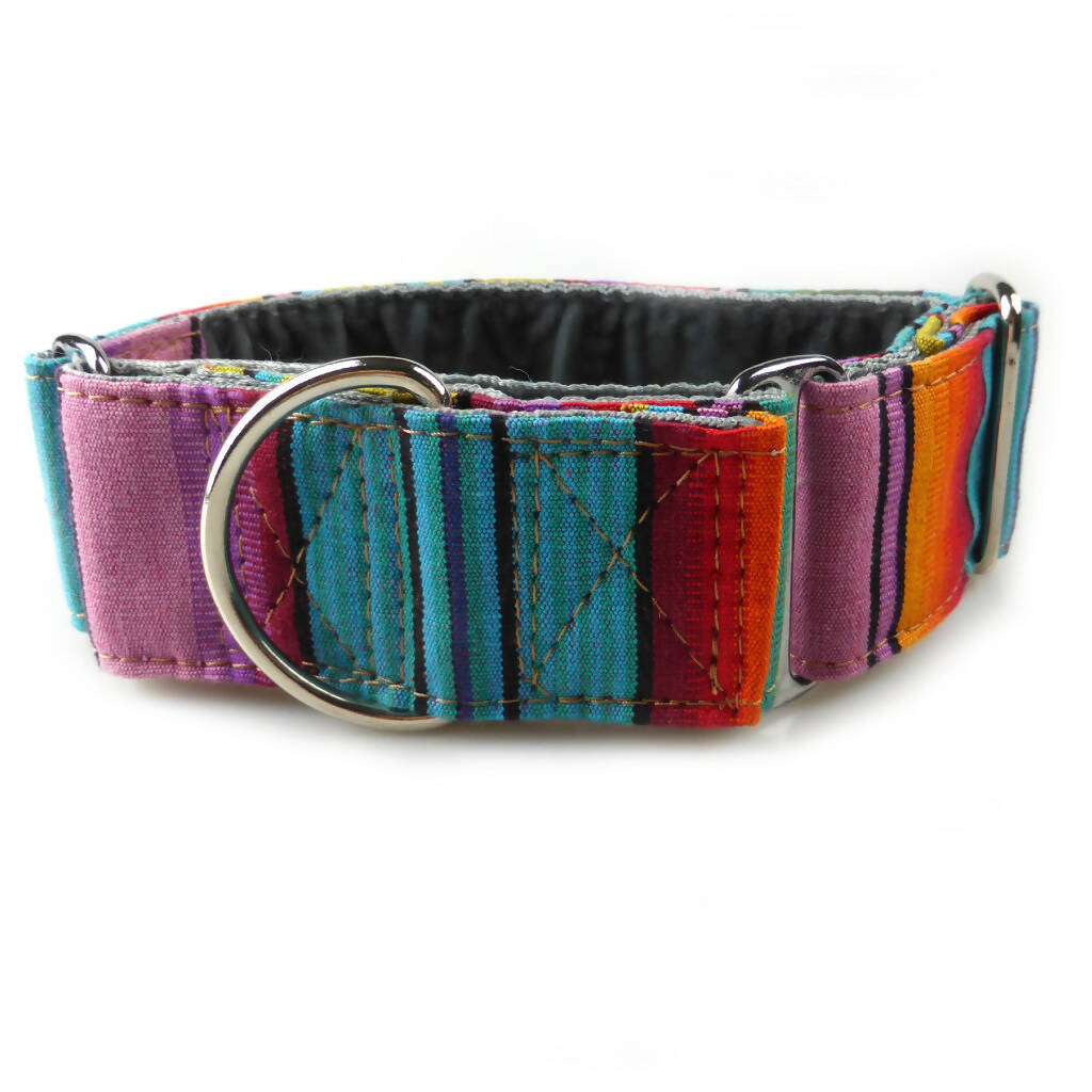 Blackpool Martingale Collar