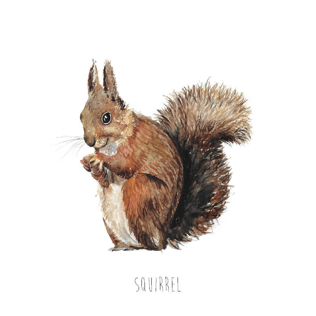 Squirrel Watercolour Art Print