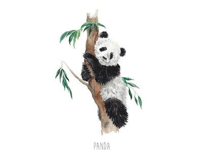 Panda Bear Watercolour Art Print