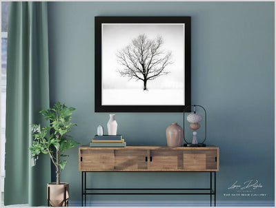 'Solitude in White' - Large Print in Black and White