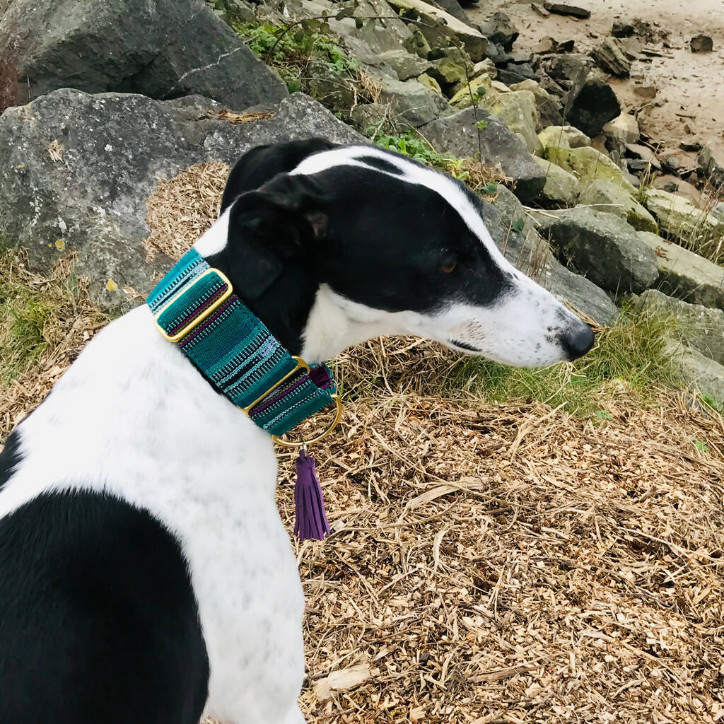 Bedouin Martingale Collar in Oasis Green