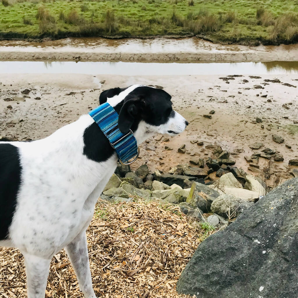 Bedouin Martingale Collar in Lapis Blue