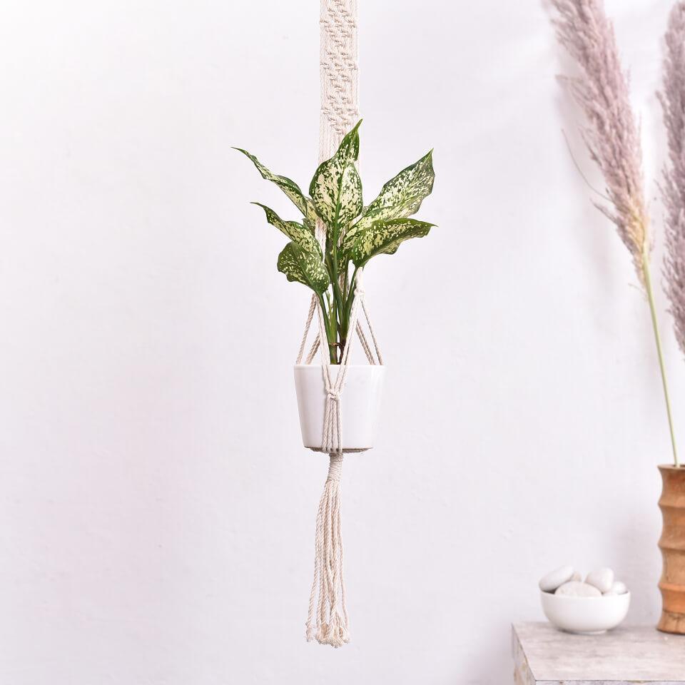 Macrame Hanging Planter