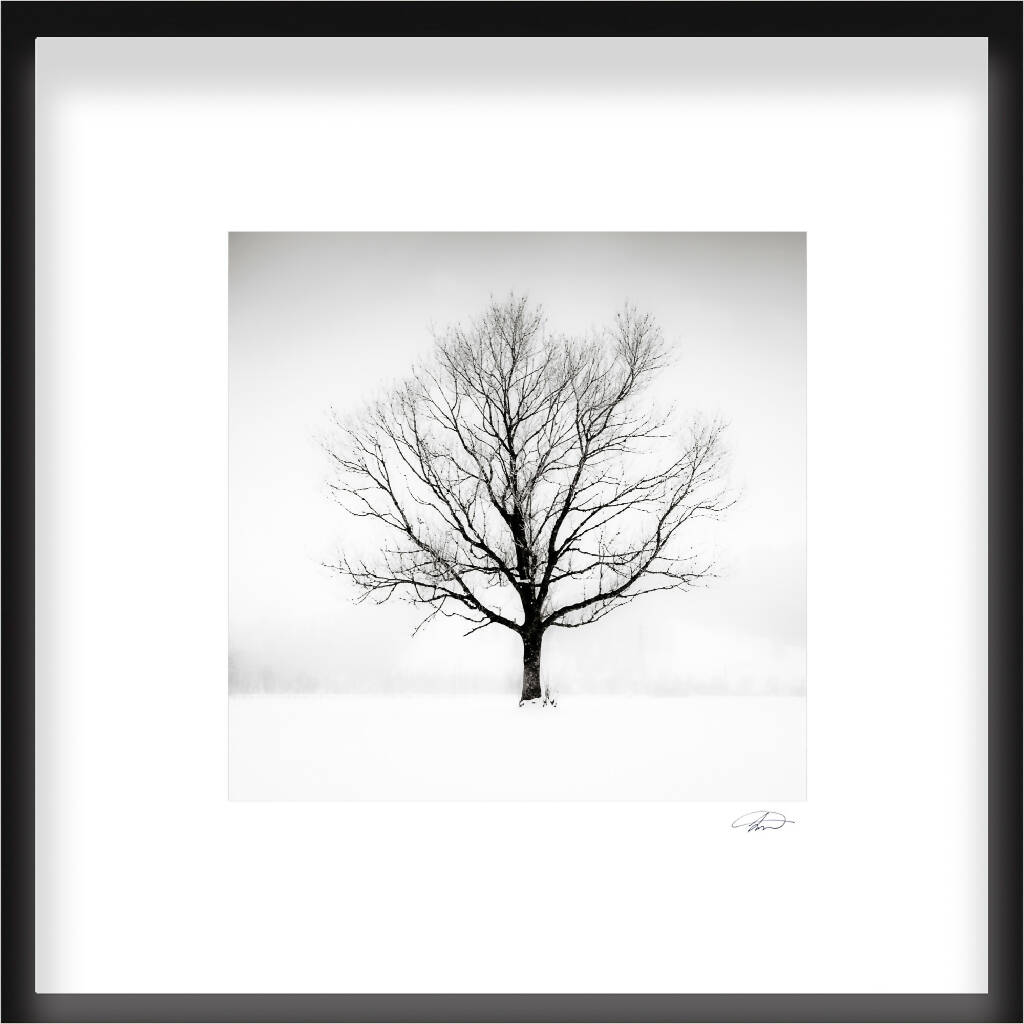 'Solitude in White' - Large Print in Black and White