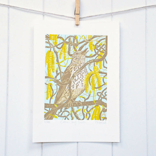 Catkin Song Thrush - Limited Edition - Original Linocut Print