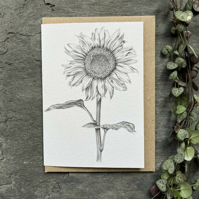 Sunflower Blank Greetings Card