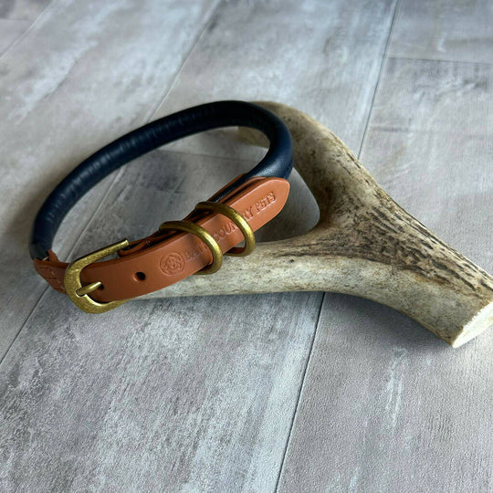 Rolled Leather Dog Collar Navy with Tan