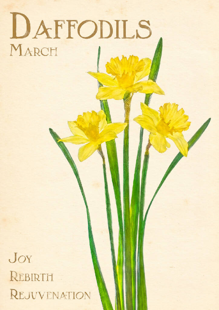 March Birth Flower Fine Art Print
