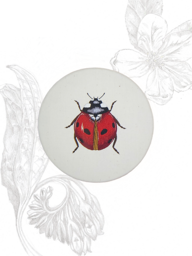 Seven Spot Ladybird Silk Shading Embroidery Kit