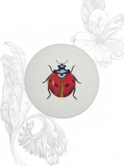 Seven Spot Ladybird Embroidery Kit | Country Living Marketplace
