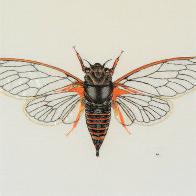 Cicada Silk Hand Embroidered Art