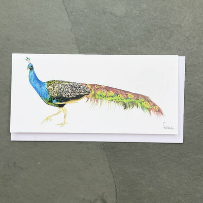 Maenporth Peacock Cornish Greeting Card