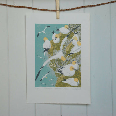 Gannets, Bempton Cliffs - Limited Edition - Original Linocut Print