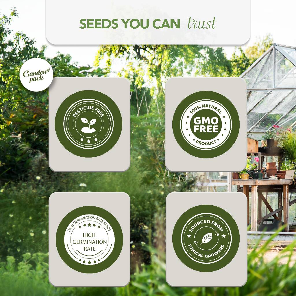 Grow Your Own 75 Seed Box
