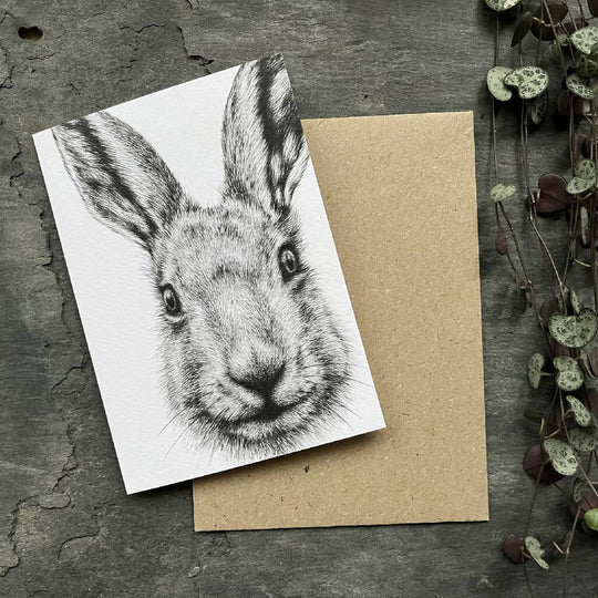 Hare Blank Greetings Card