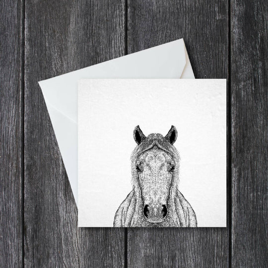 Horse Greeting Card