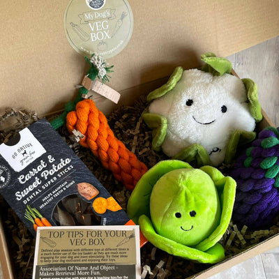 My Dog's Veg Box. Rope & Plush Toys With Veggie Chews Presented In A Gift Box