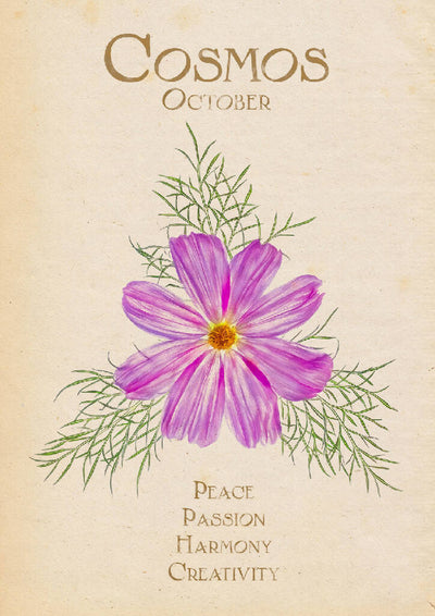 October Birth Flower Fine Art Print