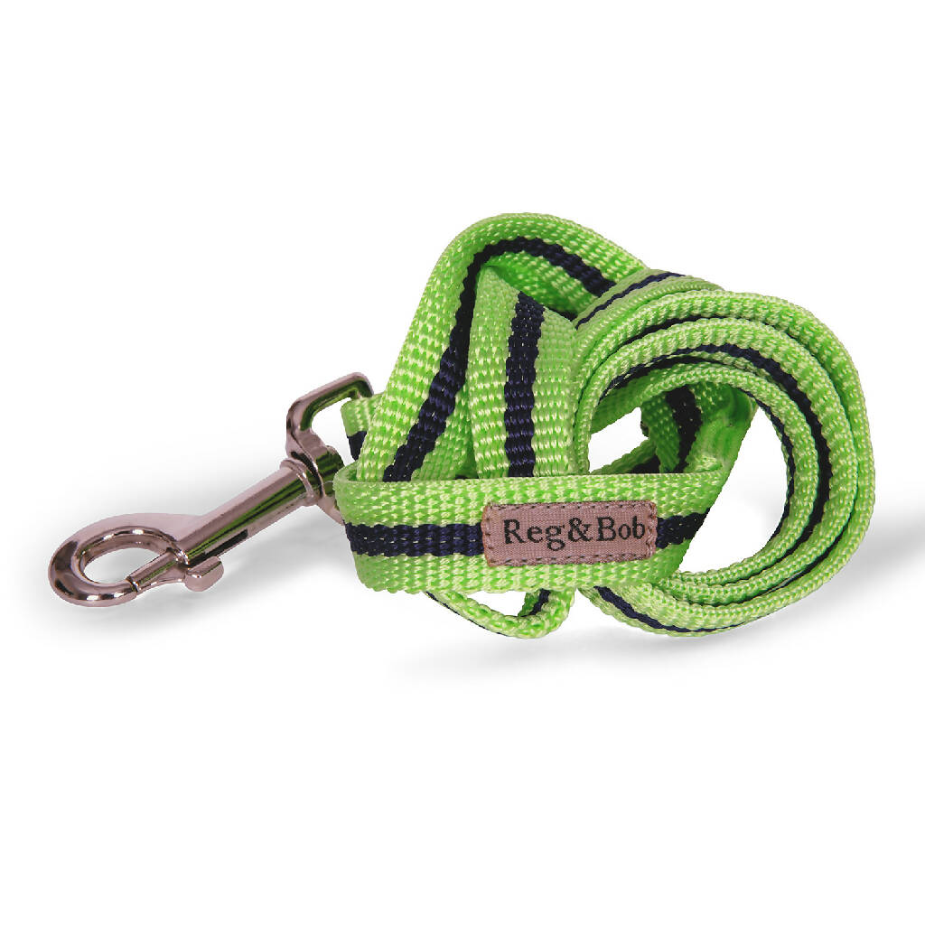 Dog Lead In Lime And Navy Stripe