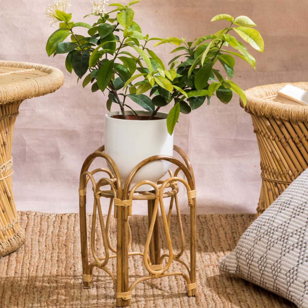 Handmade Rattan Plant Stand - Patra