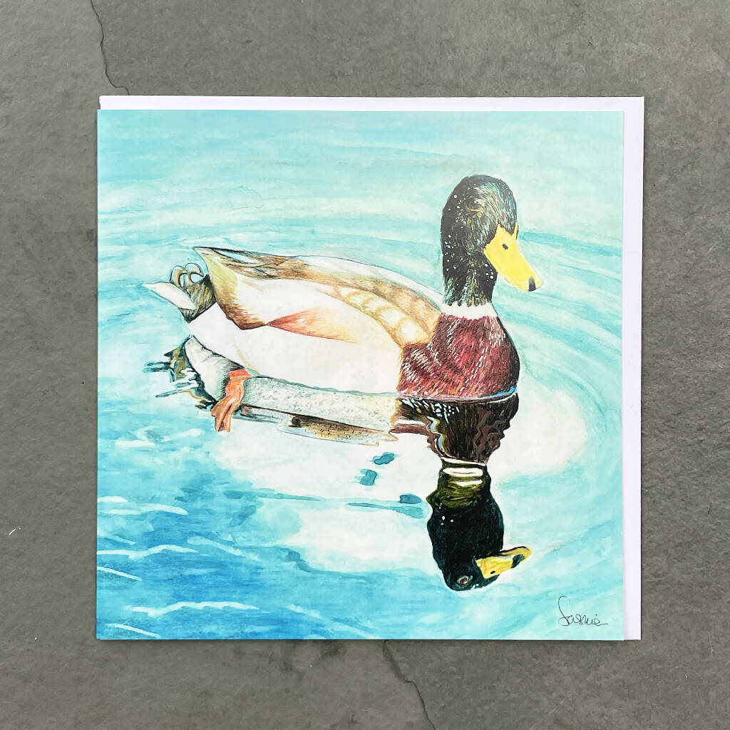 Swan Pool Mallard Greeting Card