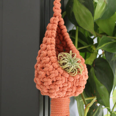 Plant Pod Hanger