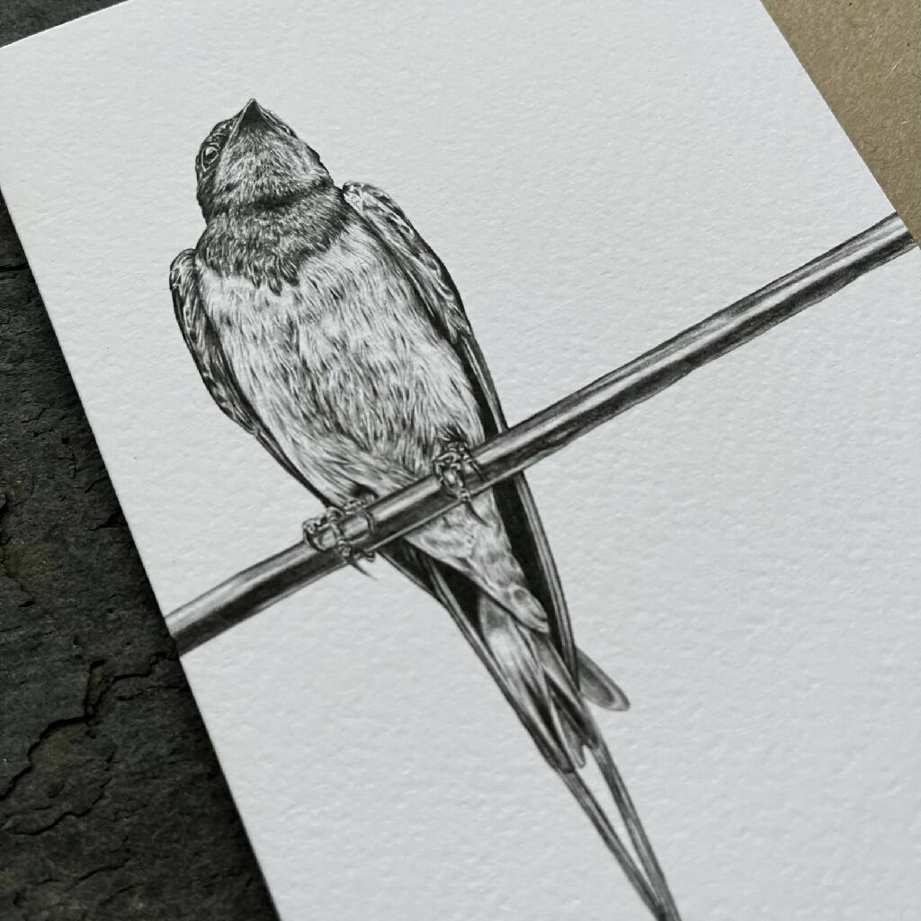 Swallow Blank Greetings Card