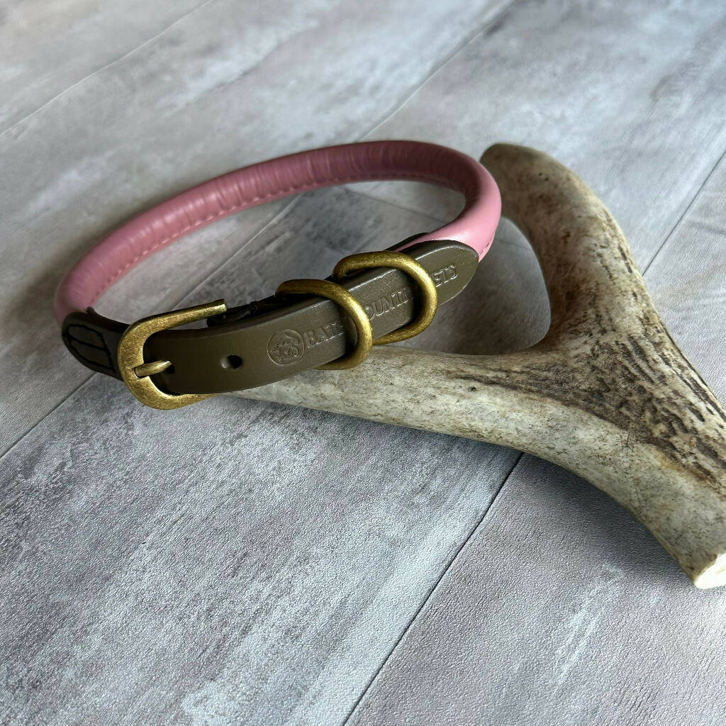 Rolled Leather Dog Collar Clover Pink with 'Grouse' Green