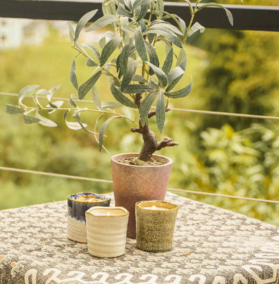 Green Ombre Ceramic Garden Candle