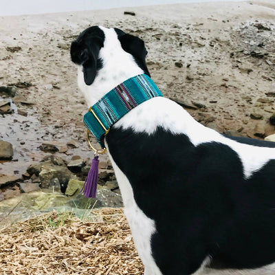 Bedouin Martingale Collar in Oasis Green