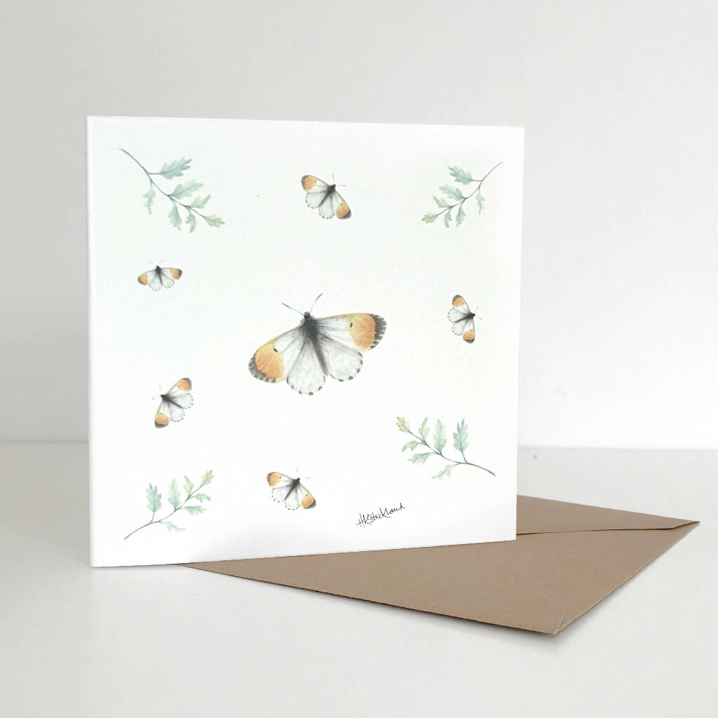Orange Tip Butterflies Greetings Card