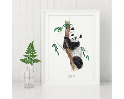 Panda Bear Watercolour Art Print