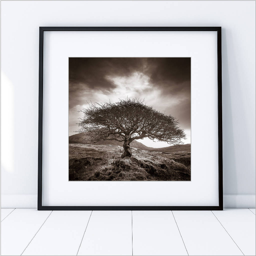 The One Tree - Sepia Tree Print