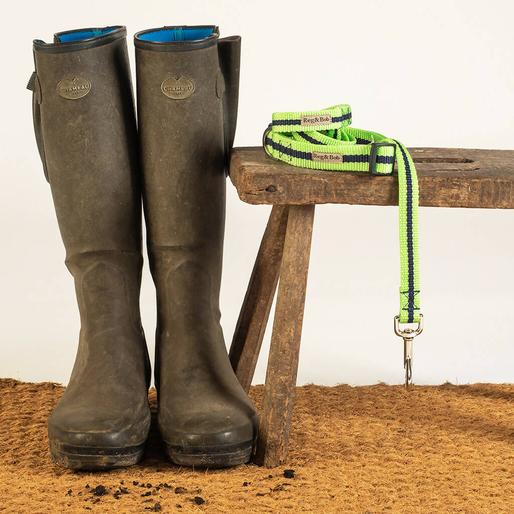 Dog Collar & Lead Set In Lime And Navy Stripe