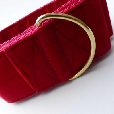 Velvet Collar Scarlet Red